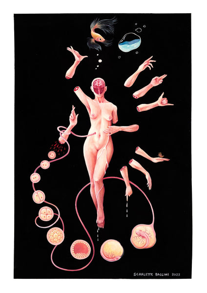 Scarlette Baccini Artwork