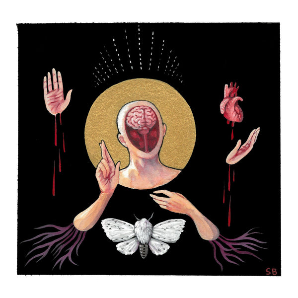 Scarlette Baccini - Spilosoma lubricipeda