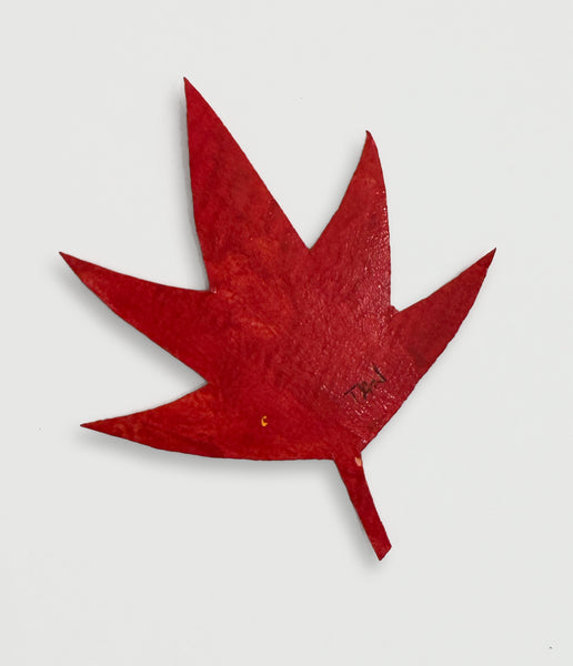 Shaun Tan - UNICEF Red Leaf
