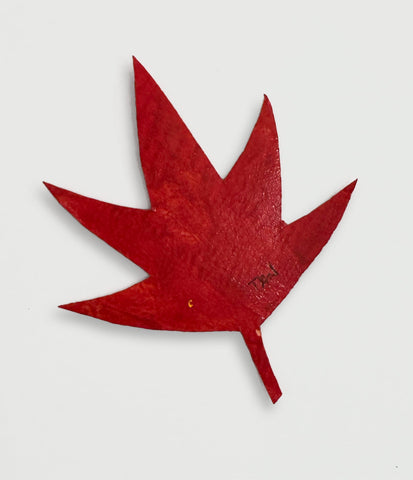Shaun Tan - UNICEF Red Leaf