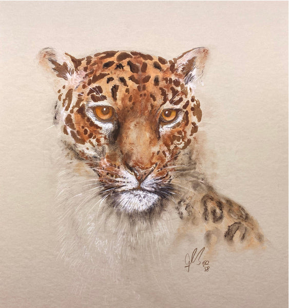 Graeme Base - 'Snow Leopard' - watercolour, pencil and gouache on hot press illustration board