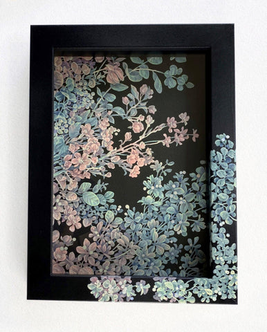 Song Kang