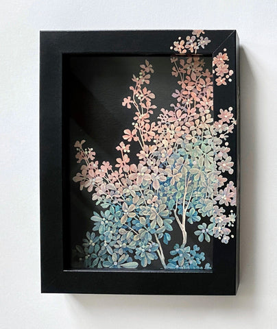 Song Kang