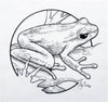 Graeme Base - 'Spotted Tree Frog' - ink on tracing paper