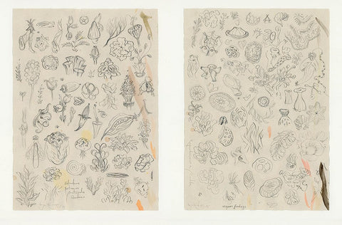 Vorja Sánchez - 'Pair of Organic Sketches (sketch 1 and 2)' - graphite on 100 gsm cotton paper