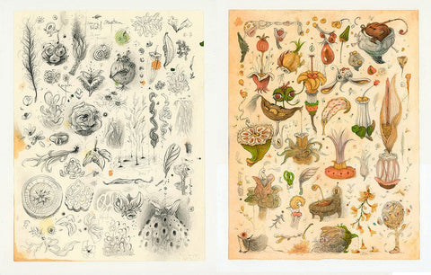 Vorja Sánchez - 'Pair of Organic Sketches (sketch 4 and 6)' - graphite, watercolour, and ink on 100 gsm cotton paper