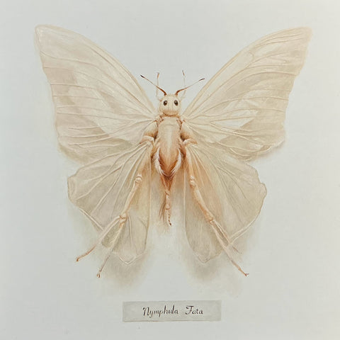 Wend Croxford art 