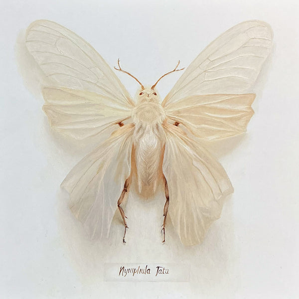 Wend Croxford art 