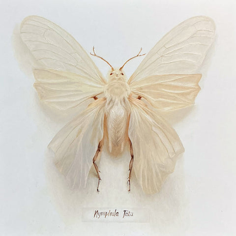 Wend Croxford art 