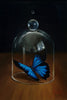 Jennifer Allnutt art 