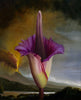 Jennifer Allnutt art 