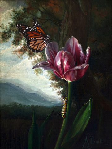 Jennifer Allnutt art 