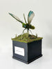 Caroline Dewison - 'Jewelled Moss Fly' - clay, resin, wire, flock, electric motor & birch ply
