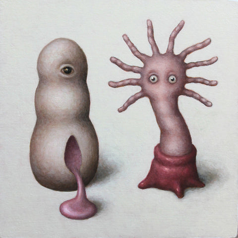Catriona Secker - 'Curious Specimens' - acrylic on panel