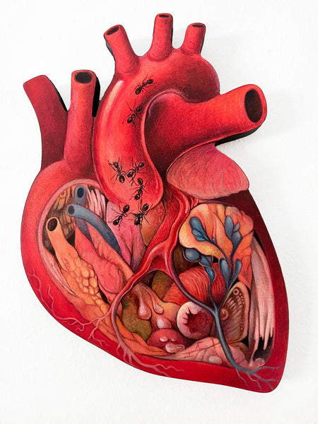  Demian Anderson  art