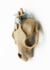 Leslie Levings - 'Long Term Memory' - stoneware, glaze