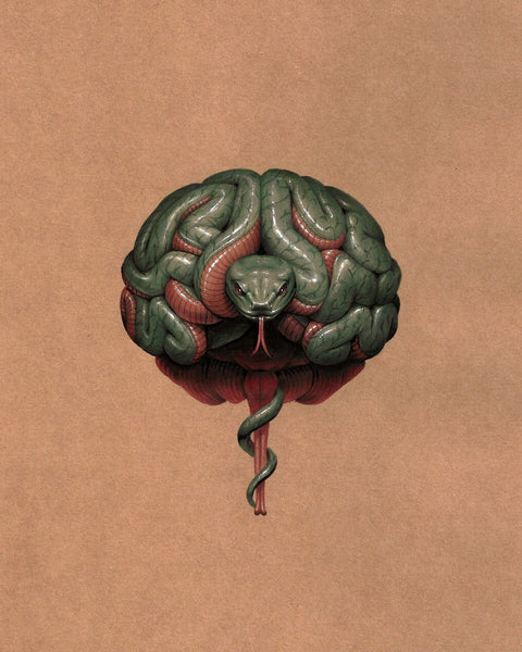 LIFO - 'Guardian' - watercolour and coloured pencil on kraft board