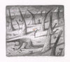 Shaun Tan art