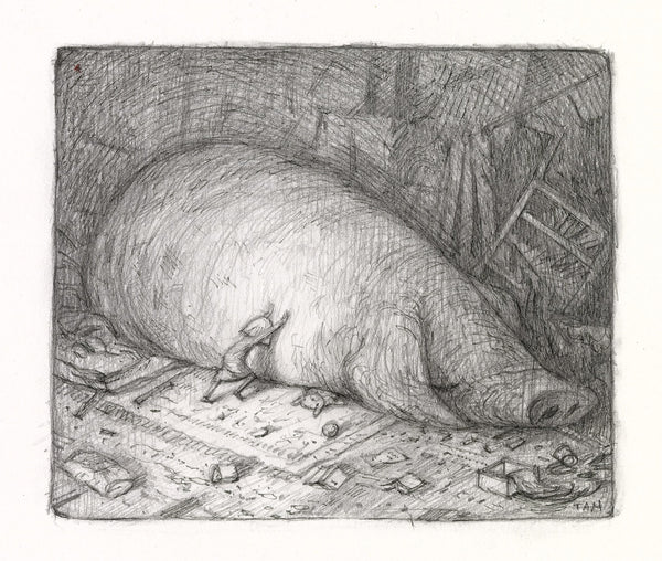 Shaun Tan art