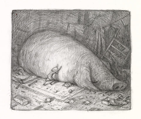 Shaun Tan art