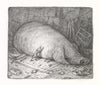 Shaun Tan art