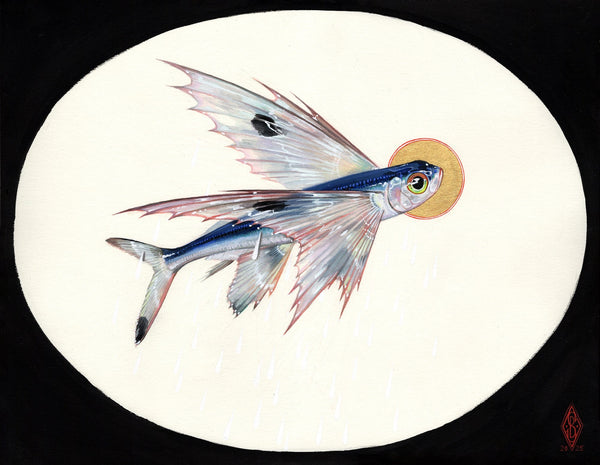 Stephanie Brown - 'St. Exocoetidae' - watercolour, gouache, 18K gold leaf on paper