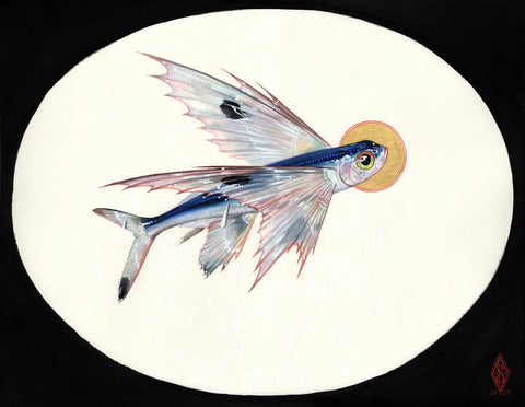 Stephanie Brown - 'St. Exocoetidae' - watercolour, gouache, 18K gold leaf on paper