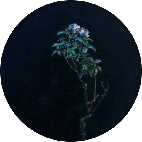 Belinda Wiltshire art