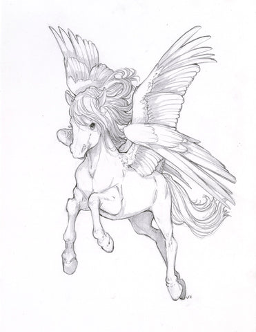 Camilla d'Errico art