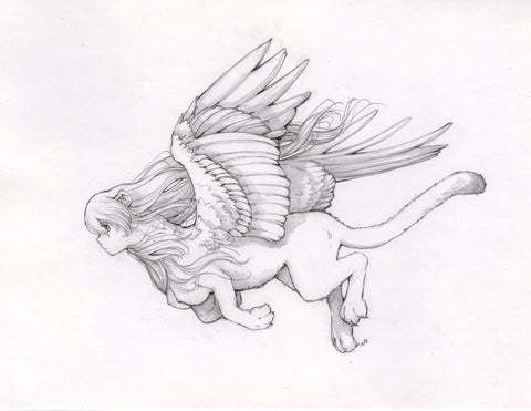 Camilla d'Errico art