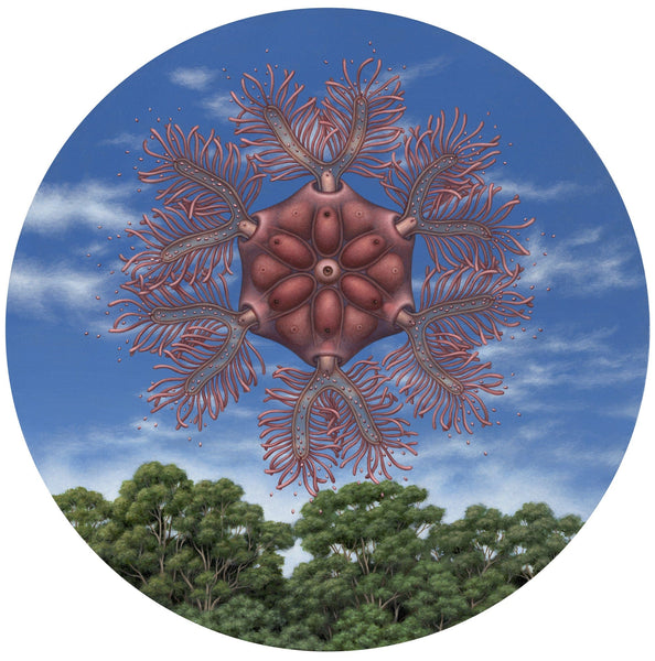 Catriona Secker - "Biomorph, Evolved from Jellyfish" - acrylic on cradled birch panel
