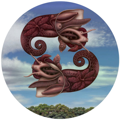 Catriona Secker - "Pair of Biomorphs, Evolved from Mollusc" - acrylic on cradled birch panel