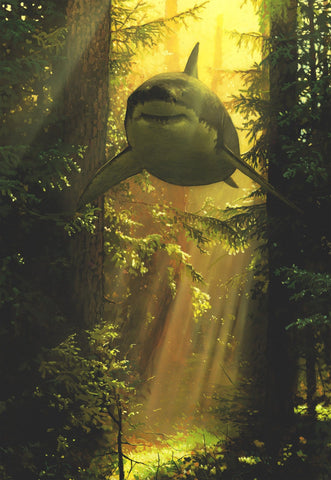 Chris Austin Available Art & Bio Beinart Gallery