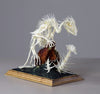 Gerard Geer art