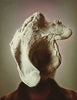 James Bonnici art