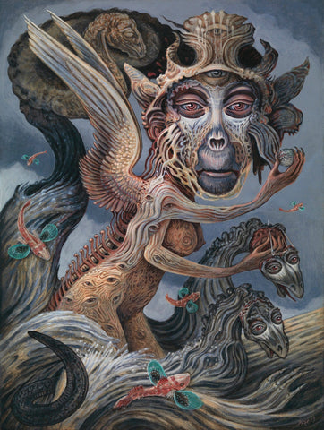 Kim Evans | Available Art & Bio | Beinart Gallery