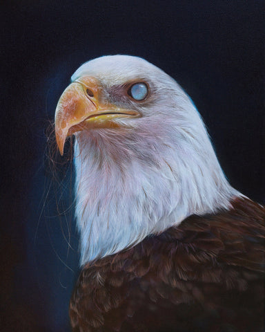 Roos van der Vliet art