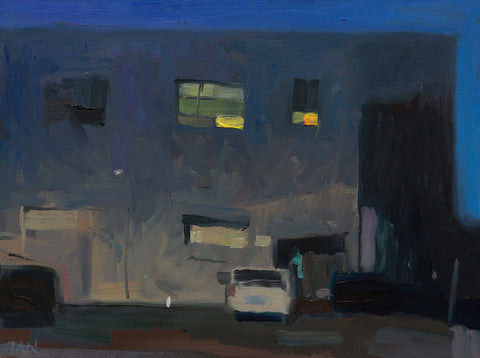 Shaun Tan observational painting