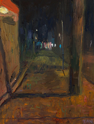 Shaun Tan Always Distant Lights