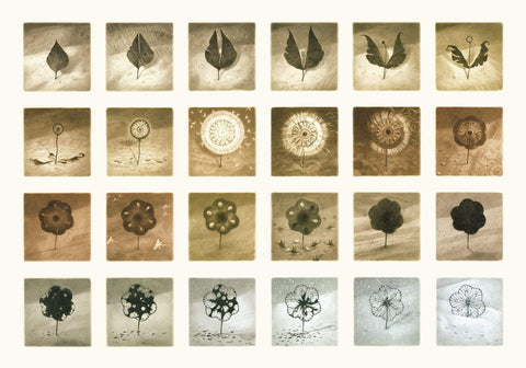 Shaun Tan print - The Arrival