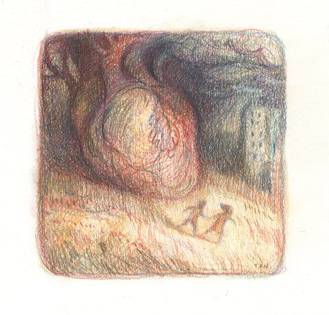 Shaun Tan art