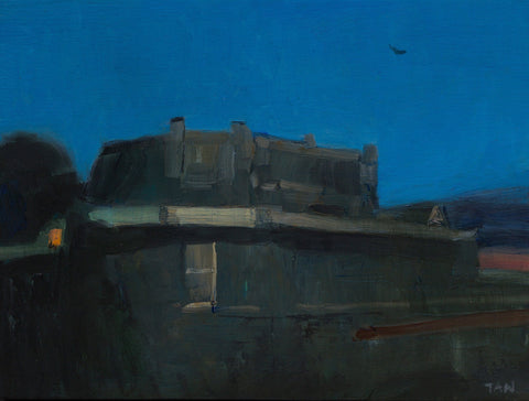 Shaun Tan observational painting