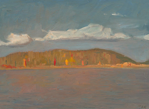 Shaun Tan Saratoga Springs