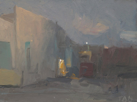 Shaun Tan Soft evening backlots