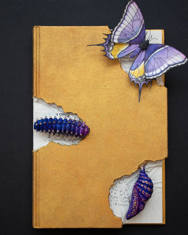 Stephanie Kilgast art