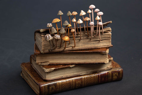 Stephanie Kilgast art