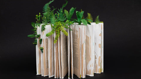 Stephanie Kilgast art