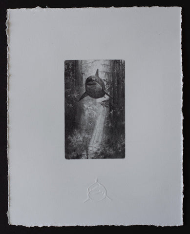 Chris Austin drawing