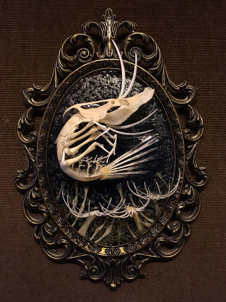 Gerard Geer - "Ghost Shrimp #2" - Assorted animal bones, garnet crystals and resin on brass frame