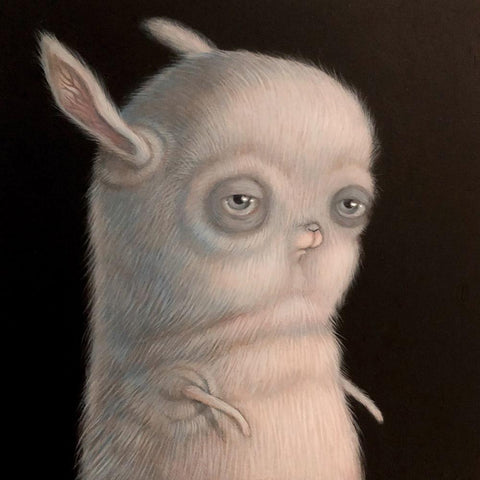 Renée French | Available Art & Bio | Beinart Gallery